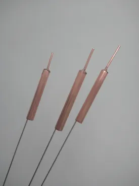 Copper bulrushes cattails