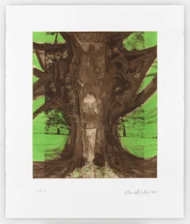 Huma Bhabha | Untitled (2017)