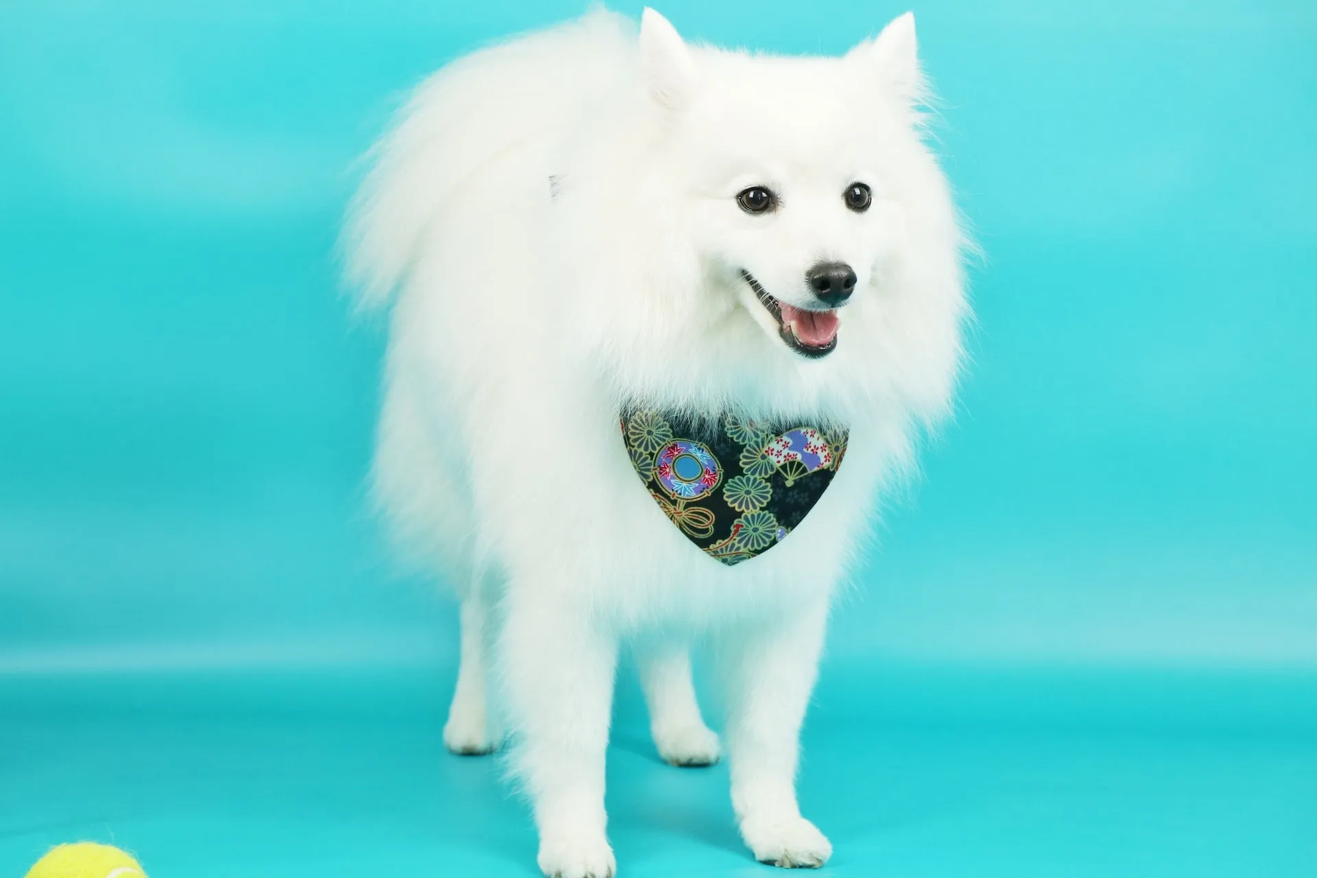 Limited editions Japanese Yukata neckerchief  - Double sided B0032020